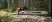 Бензопила STIHL MS 500i 28" (71см)