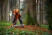 Бензопила STIHL MS 500i 28" (71см)
