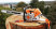 Бензопила STIHL MS 500i 28" (71см)
