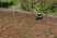 Культиватор STIHL MH 560