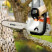 Аккумуляторная цепная пила STIHL MSA 160 C-BQ с AP 200 и AL 101