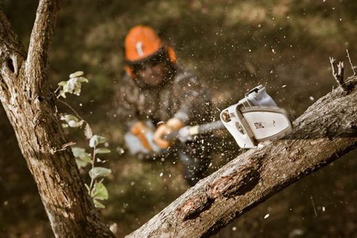 Бензиновый высоторез STIHL HT 105