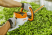 Мотоножницы аккумуляторные STIHL HSA 56 с AK 10 и AL 101