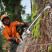 Бензопила STIHL MS 500i