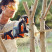 Аккумуляторная цепная пила STIHL MSA 120 C-B (акк АК20 2 шт+ ЗУ AL101)