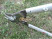 Садовые ножницы Stihl Bypass Extrem