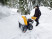 Снегоуборщик бензиновый Stiga ST 6276 PB